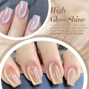 Cat Magnetic Gel Nail Polish Set Kits8